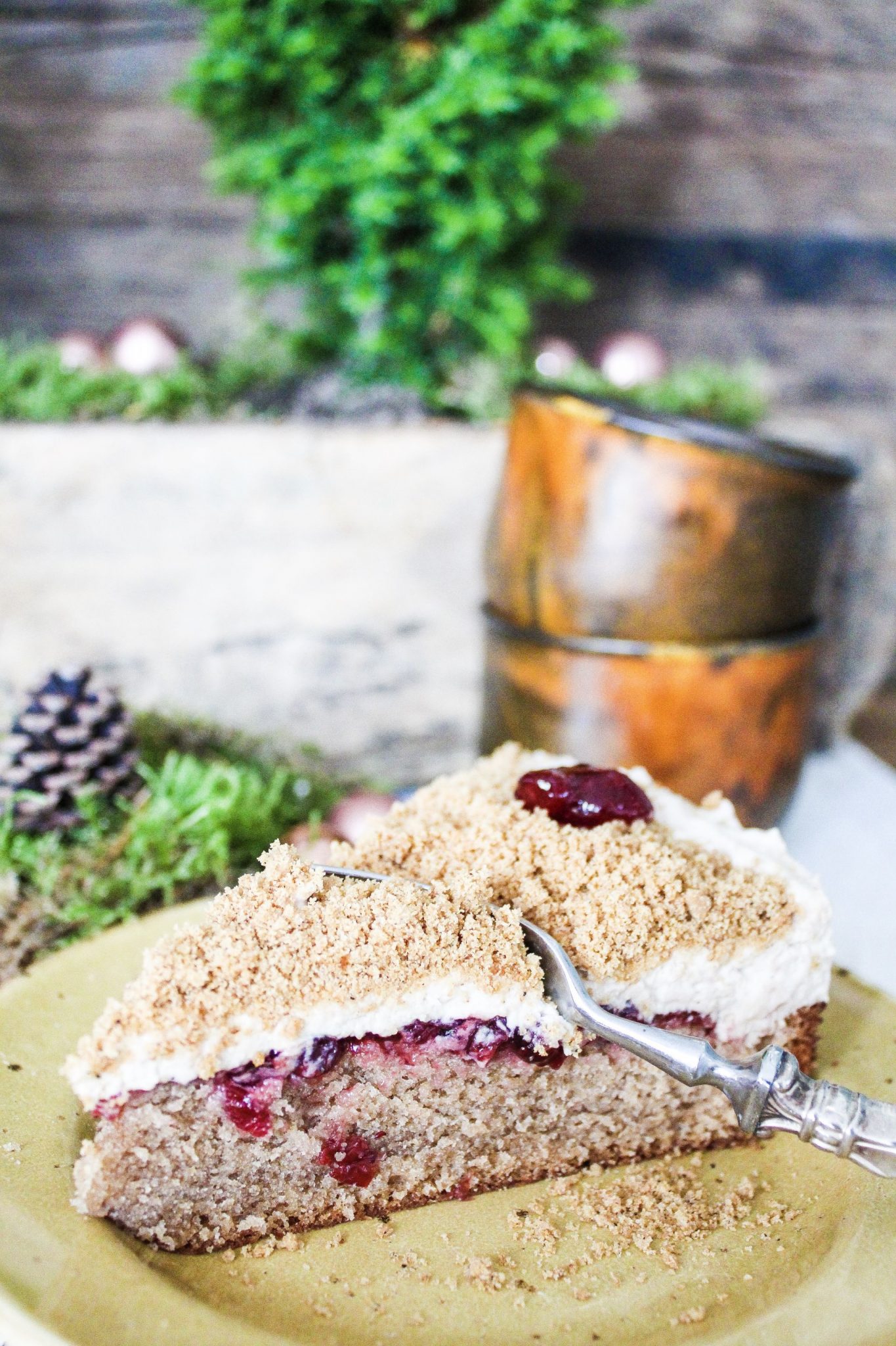 Cappuccino Preiselbeer Torte - Alexkitchenlove Cappuccino Preiselbeer Torte - Alexkitchenlove